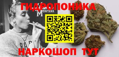 spice Гусев