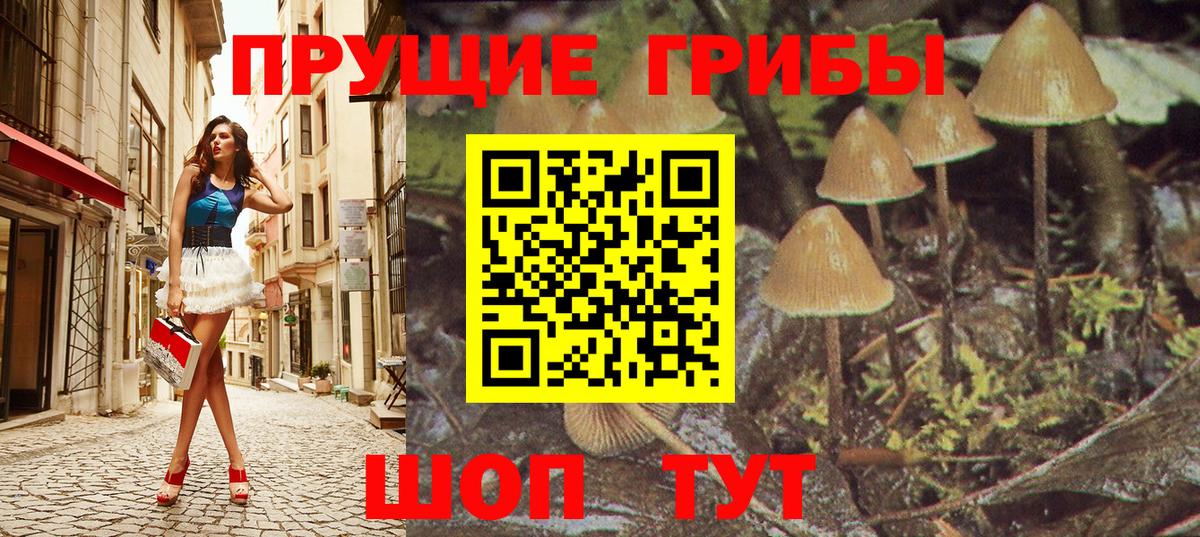 Псилоцибиновые грибы ЛСД  Вход с VPN  Галлюциногенные грибы Magic Shrooms  Новороссийск 